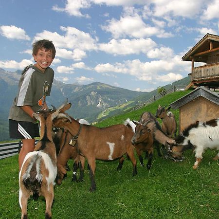 Pension Sonneck Нойкирхен-ам-Гросфенедигер Экстерьер фото
